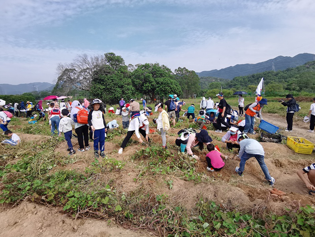 “秋收大挑战” 深圳视障家庭+健视家庭合作助农3.jpg